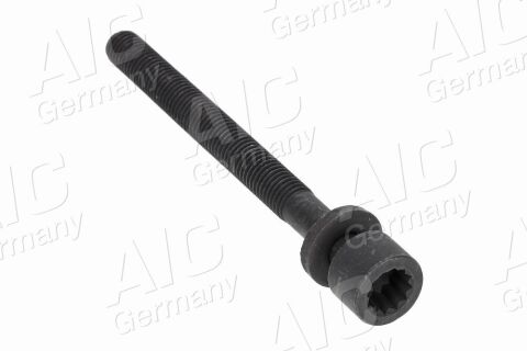 Болт головки Audi A4/VW Passat 1.6 94-06 (M10x1.5)
