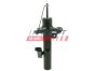 Амортизатор передний левый газ FORD Focus II 04-11, C-MAX 02-10, Fusion 02-12, фото 2 - интернет-магазин Auto-Mechanic