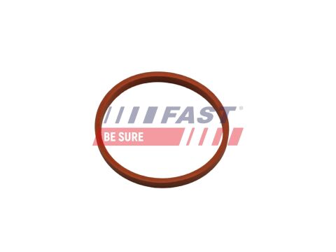 Прокладка RENAULT Kangoo 08- Патрубок Турбіни Прокладка RENAULT Kangoo 08- Патрубок Турбіни