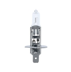 Лампа галогенная H1 12V 55W P14.5s Лампа галогенная H1 12V 55W P14.5s