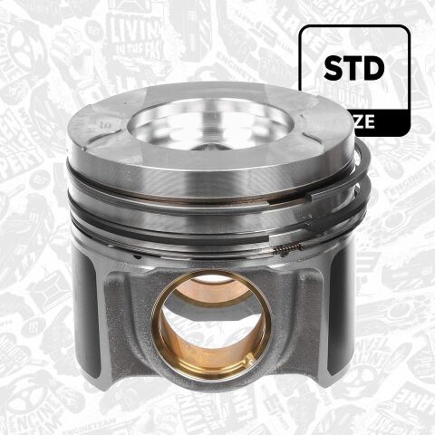 Поршень Поршень