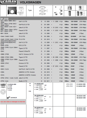 Поршень с кольцами і пальцем (размер отв. 81.51/+0.50) vw t-v/vi, amarok, golf v/vi/plus, 2.0tdi 05-, audi, skoda, (cbbb)