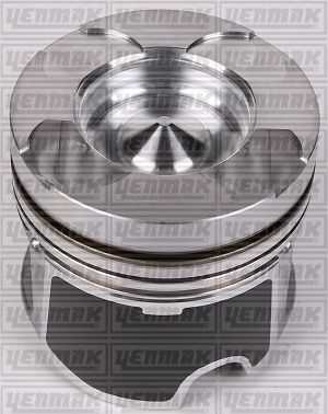 Поршень с кольцами и пальцем renault master 2.5 cdti (размер отв. 89.5/+0.5) (g9u 632/650 euro4)