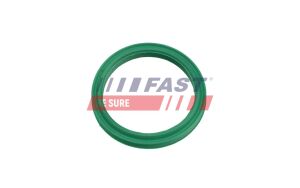 Ущільнювальне кільце, шланг подачі наддувального повітря