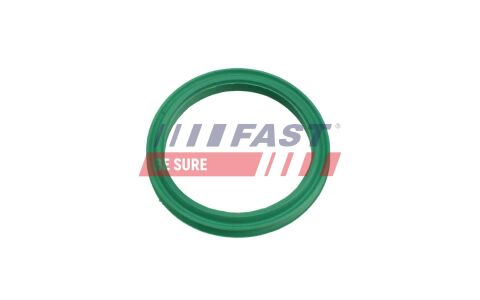 Ущільнювальне кільце, шланг подачі наддувального повітря Ущільнювальне кільце, шланг подачі наддувального повітря