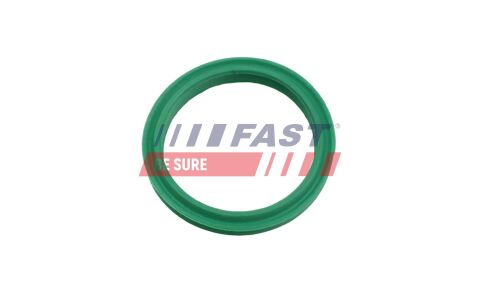 Ущільнювальне кільце, шланг подачі наддувального повітря Ущільнювальне кільце, шланг подачі наддувального повітря