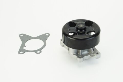 Помпа води Renault Laguna III/Megane III/Scenic III 07-15/Nissan X-Trail/Qashqai 2.0 16V 07-13