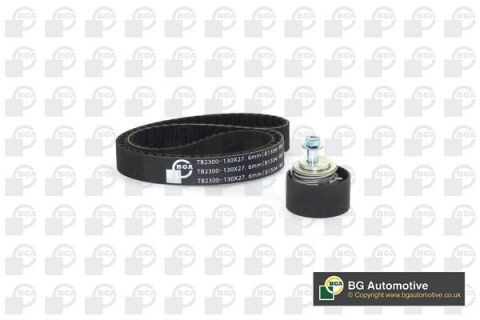 Роликовый модуль натяжителя ремня (ролик, ремень)