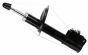 Амортизатор (передний) Citroen C8/Peugeot 807 2.0-3.0 i/2.0D 02-(R), фото 1 - интернет-магазин Auto-Mechanic