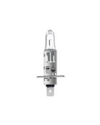 Лампа галогенна H1 24V 70W P14.5s HEAVY DUTY Лампа галогенна H1 24V 70W P14.5s HEAVY DUTY