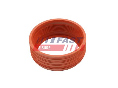 Ущільнювальне кільце, шланг подачі наддувального повітря