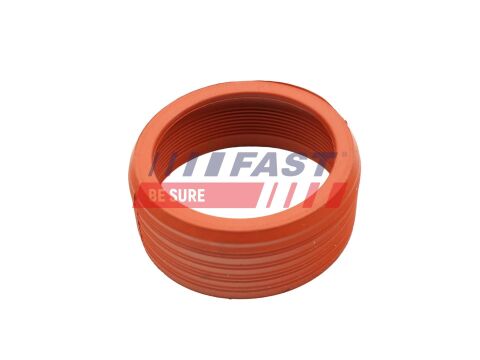 Ущільнювальне кільце, шланг подачі наддувального повітря