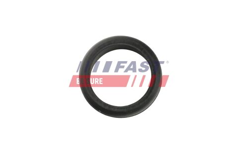 Ущільнювальне кільце, шланг подачі наддувального повітря