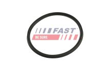 Ущільнювальне кільце, шланг подачі наддувального повітря Ущільнювальне кільце, шланг подачі наддувального повітря