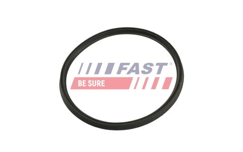 Ущільнювальне кільце, шланг подачі наддувального повітря