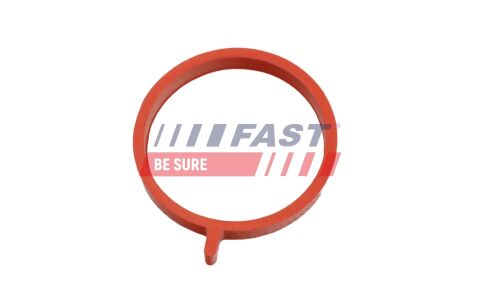 Уплотнительное кольцо, трубка нагнетаемого воздуха