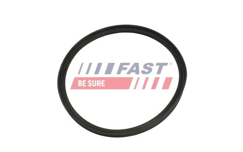 Ущільнювальне кільце, шланг подачі наддувального повітря