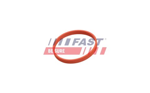 Прокладка, клапан возврата ОГ Прокладка, клапан возврата ОГ