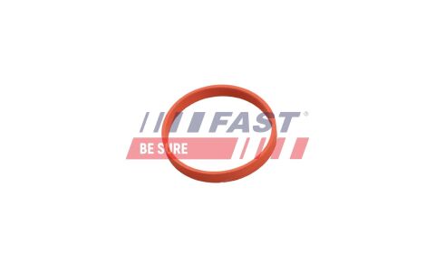 Прокладка, клапан возврата ОГ Прокладка, клапан возврата ОГ