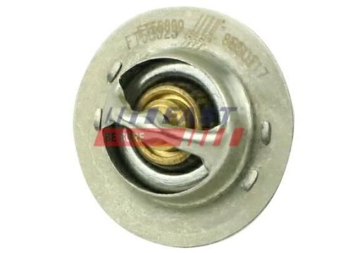 Термостат, охолоджувальна рідина