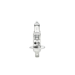 Лампа галогенная H1 12V 55W STANDARD