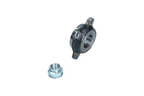 Підшипник ступиці колеса (комплект) Підшипник ступиці колеса (комплект)