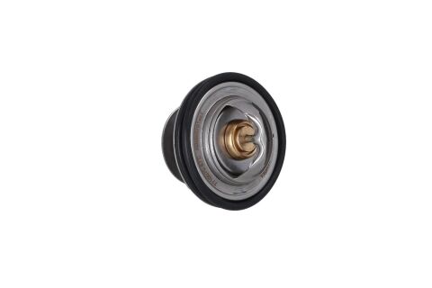 Термостат, охлаждающая жидкость