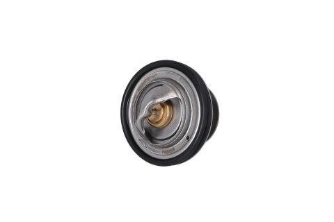 Термостат, охлаждающая жидкость