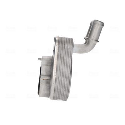 Оливний радіатор focus 18-, tourneo connect 14- ford Оливний радіатор focus 18-, tourneo connect 14- ford