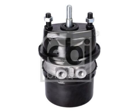 Гальмівний циліндр з пружинним енергоакумулятором Гальмівний циліндр з пружинним енергоакумулятором