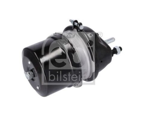 Гальмівний циліндр з пружинним енергоакумулятором Гальмівний циліндр з пружинним енергоакумулятором