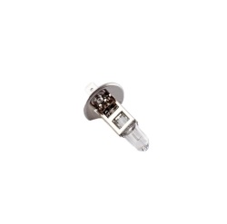 Лампа галогенная H1 12V 55W P14.5s Standard Лампа галогенная H1 12V 55W P14.5s Standard