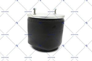 Пневморесора підвіски