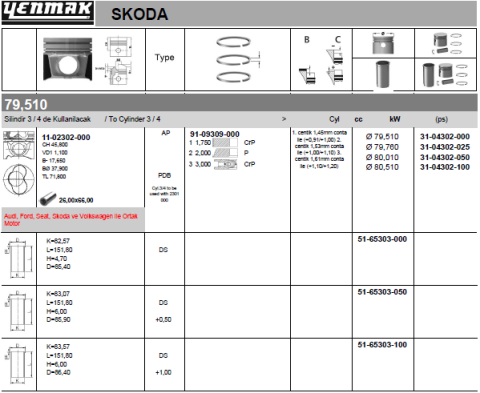 Поршень с кольцами і пальцем (размер отв. 79.76 / +0.25)VW CADDY 1.9TDI 3-й / 4-й циліндр !!!  (1Z)