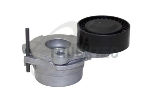 Натяжник ременя генератора Audi Q7/Q8/VW Touareg 3.0 TDI 15-