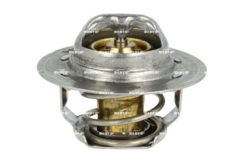 Термостат Opel Vivaro 2.0/Renault Kangoo 1.6 01- (89°C)