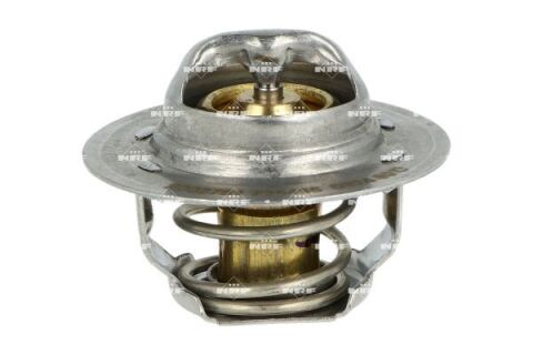 Термостат Opel Vivaro 2.0/Renault Kangoo 1.6 01- (89°C)