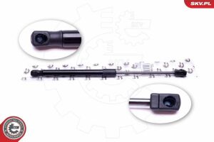 Амортизатор задньої кришки