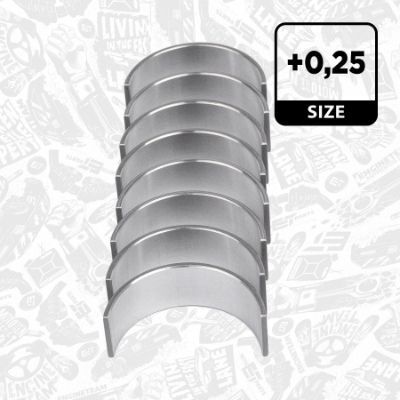 Вкладиші Вкладиші