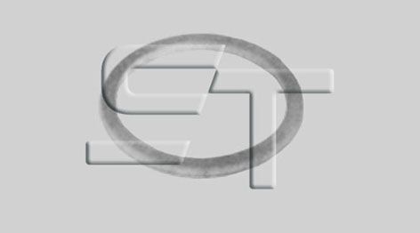 Уплотнительное кольцо