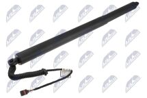 Амортизатор задніх дверей