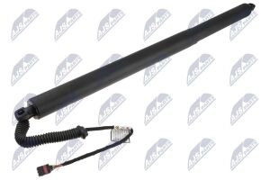 Амортизатор задніх дверей