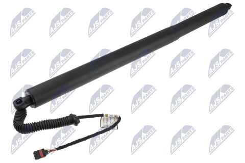 Амортизатор задніх дверей