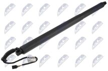 Амортизатор задніх дверей