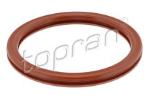 Ущiльнююче кiльце дросельної заслонки