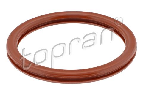 Ущiльнююче кiльце дросельної заслонки