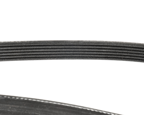 Ремінь генератора 6PK1795 Renault Trafic II/Opel Vivaro A 01->06 1.9DTI/dCi 01-