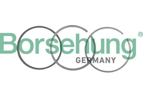 Кiльця поршневi (комплект 3 шт) Кiльця поршневi (комплект 3 шт)