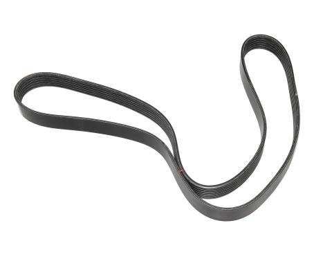 Ремінь генератора (6PK1200) Renault Kangoo 1.5 dCi Ремінь генератора (6PK1200) Renault Kangoo 1.5 dCi