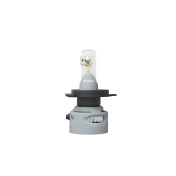 Лампа светодиодная H4/H19 12/24V 19W P43t-3/PU43t-3 Performance Advance LED (комплект)